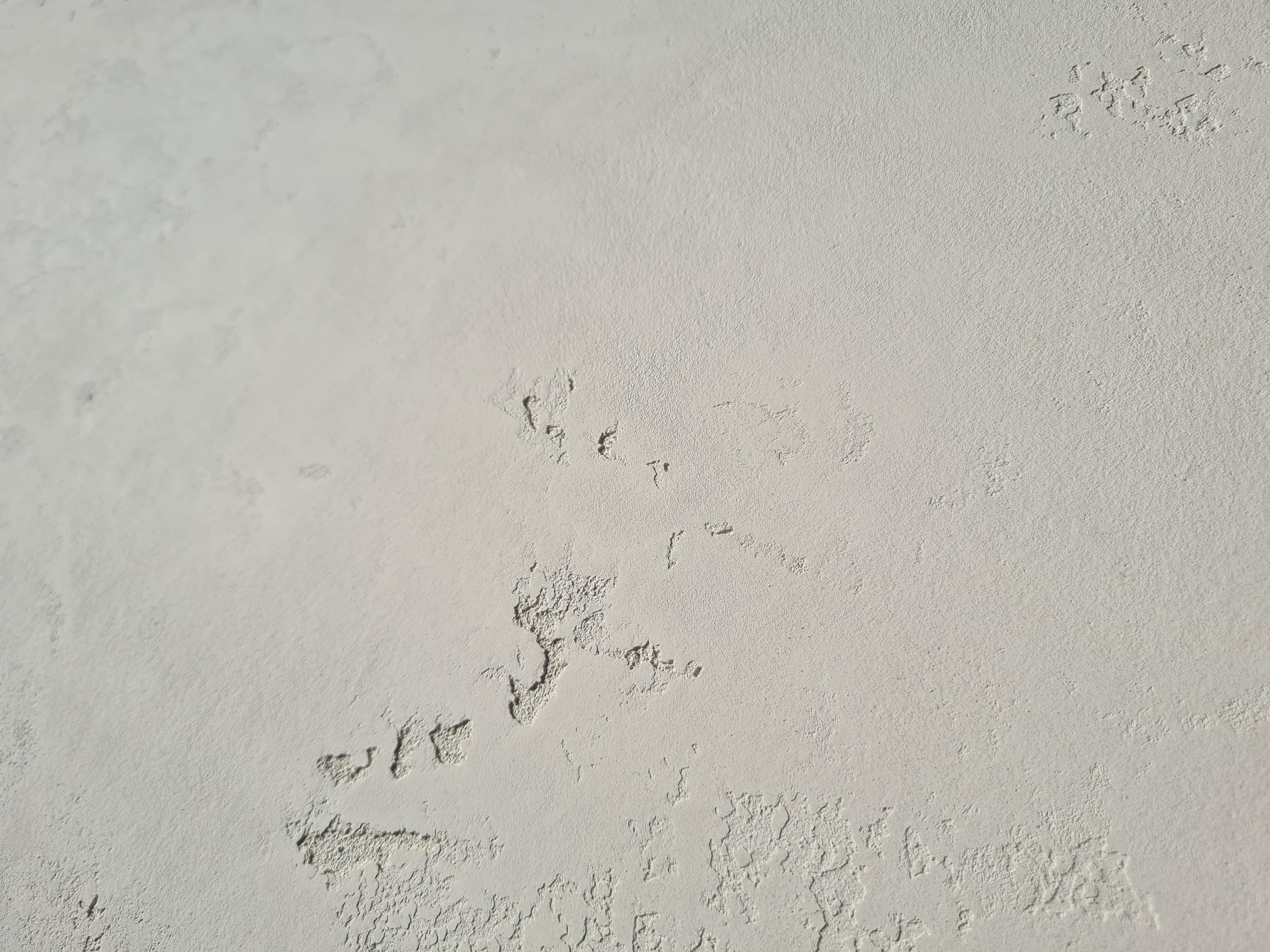 Concrete art